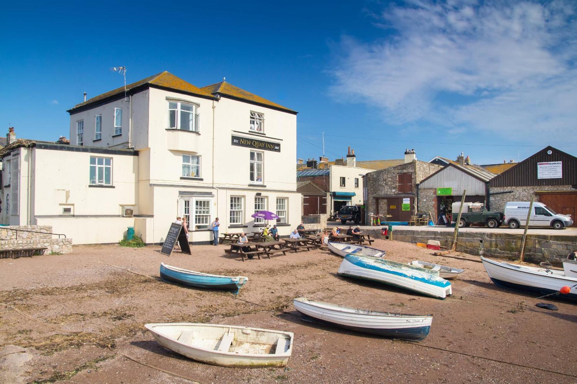 Sunnybrook - A Luxurious Carbon Neutral House Close To Beach, Shaldon Eksteriør billede