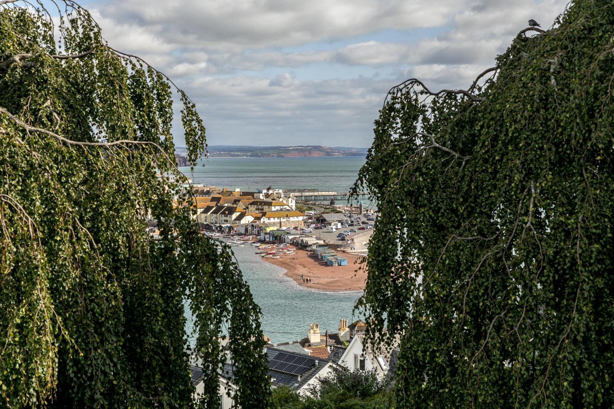 Sunnybrook - A Luxurious Carbon Neutral House Close To Beach, Shaldon Eksteriør billede