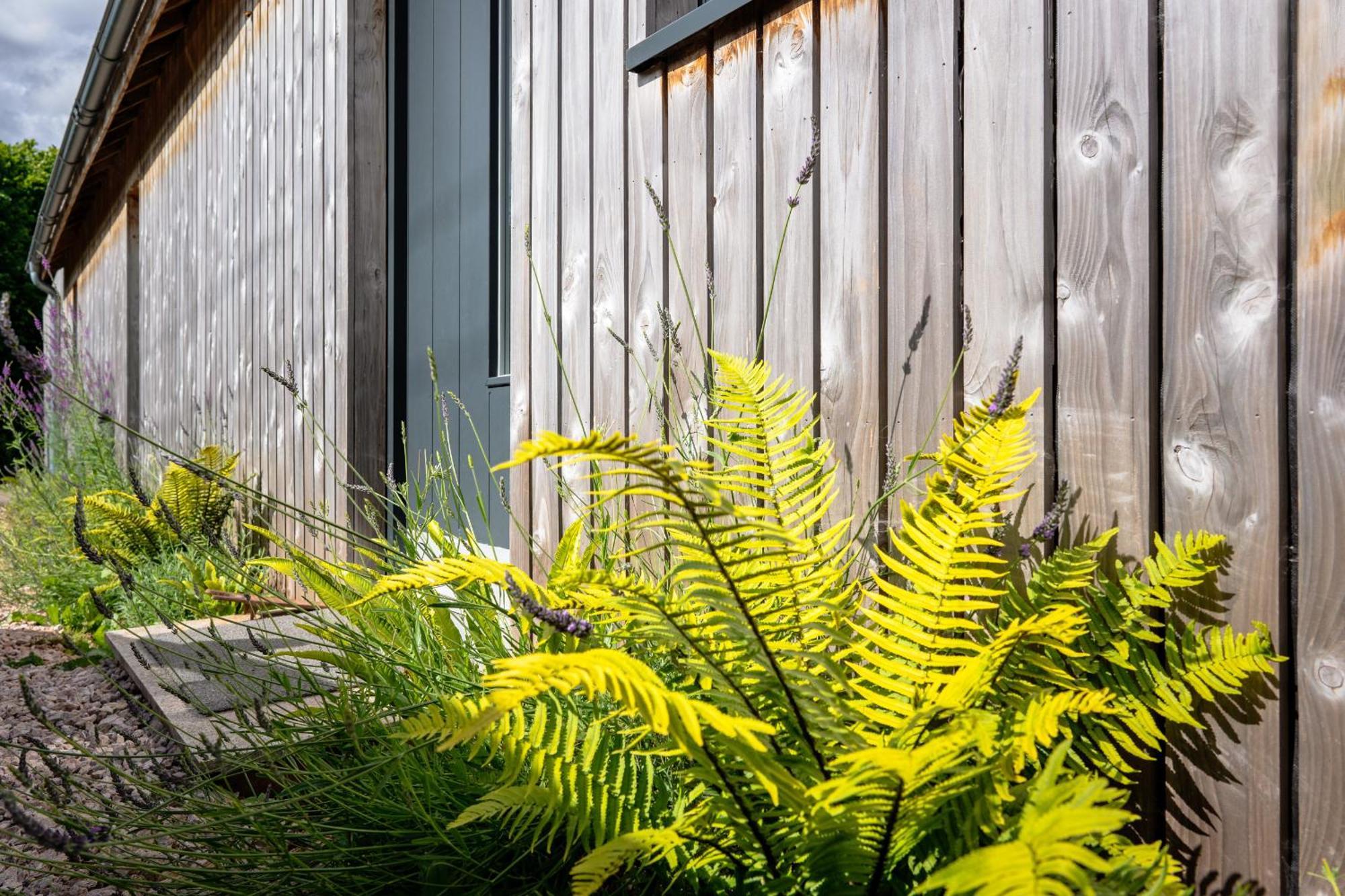 Sunnybrook - A Luxurious Carbon Neutral House Close To Beach, Shaldon Eksteriør billede